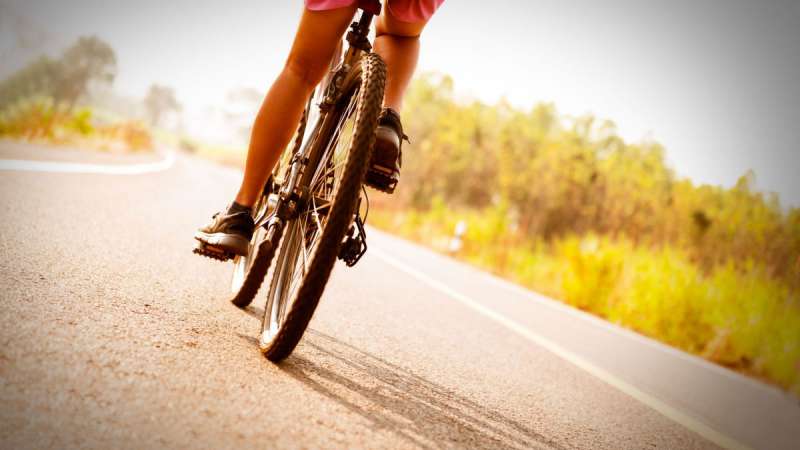 Campingplatz Gardasee Fahrradverleih und Tours (mountain bike)