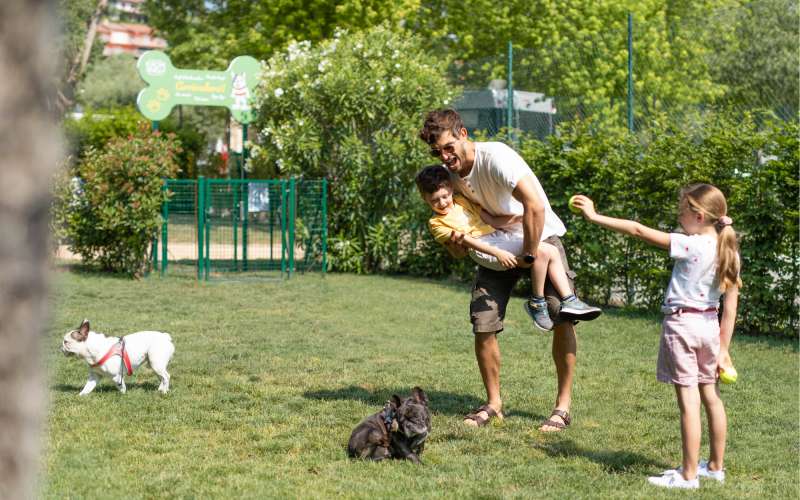 DOG DAYS IM EUROPA SILVELLA: EIN BESONDERER TAG MIT DEINEM HUND