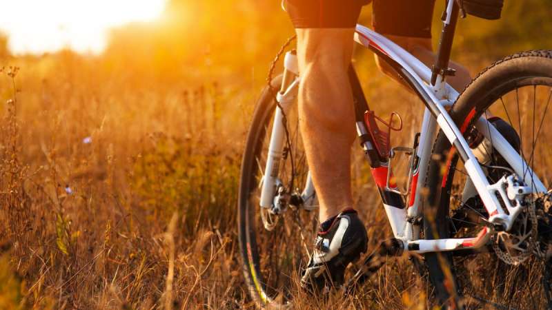 Campingplatz Gardasee Fahrradverleih und Tours (city bike)