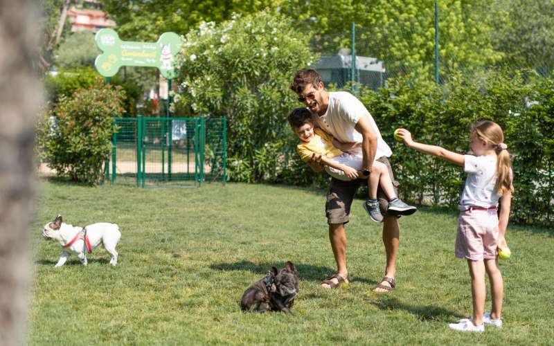 DOG DAYS IM EUROPA SILVELLA: EIN BESONDERER TAG MIT DEINEM HUND