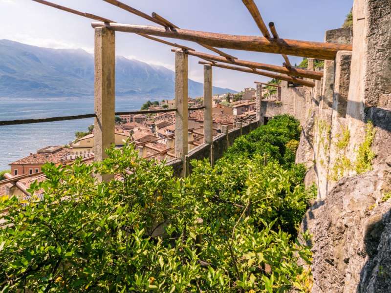 Limonaie mit Seeblick in Limone del Garda