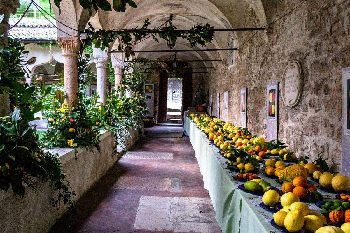 Limone del Garda limoncello gardasee