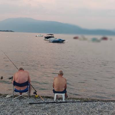 Evening spot